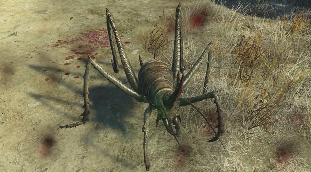 フォールアウト４ カマドウマ の弱点 出現場所 Fallout 4 攻略